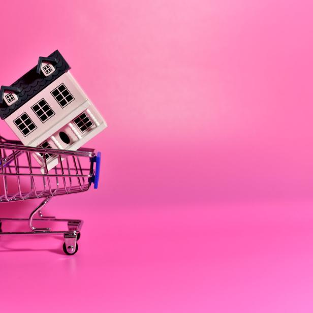 Haus im Einkaufswagen