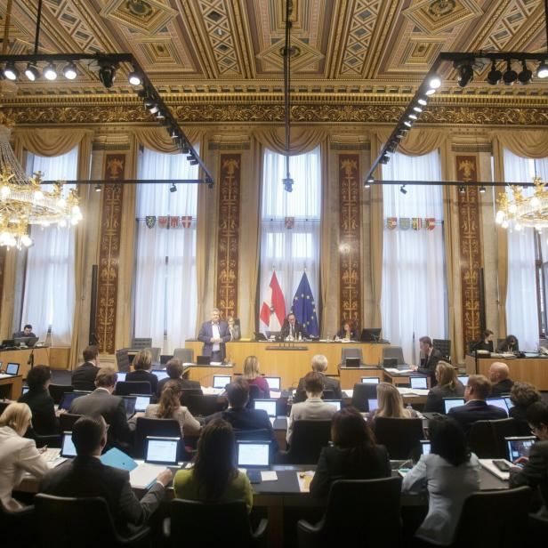 BUNDESRAT: VIZEKANZLER WERNER KOGLER (GRÜNE)