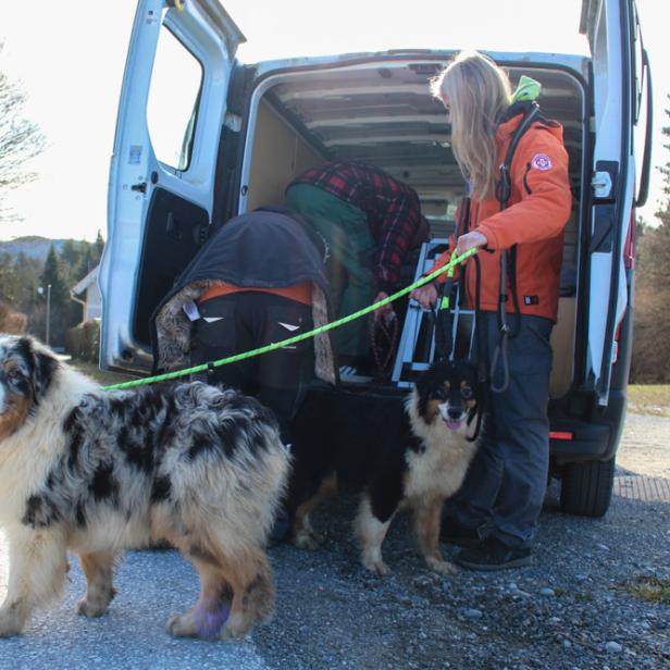 Tierrettung Kärnten