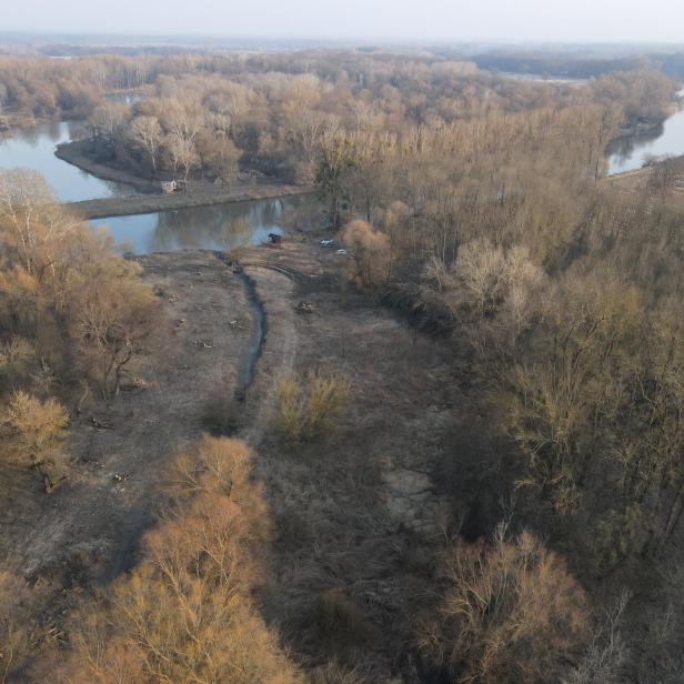 Die March wird renaturiert.