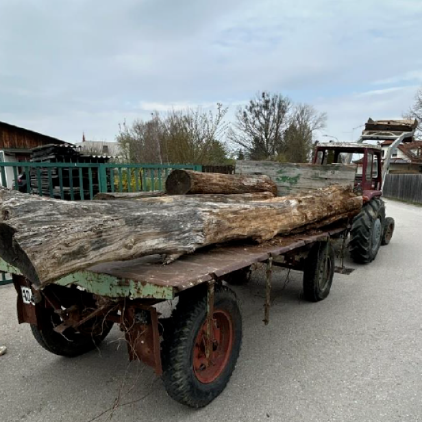 Traktor mit Anhänger, beladen mit ungesicherten Baumstämmen, auf einer Straße stehend.