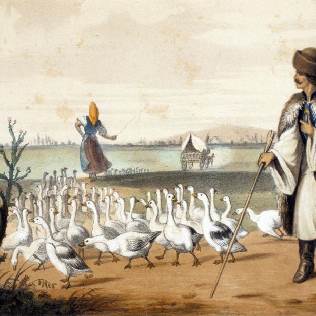 Ungarn - Gaensetreiber und eine Schar Gaense