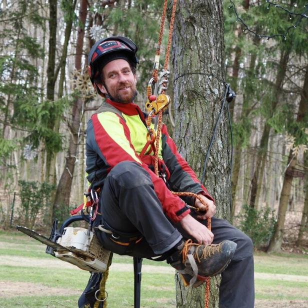 Ein Mann in Schutzkleidung sitzt mit Kletterausrüstung und Motorsäge an einem Baum im Wald.