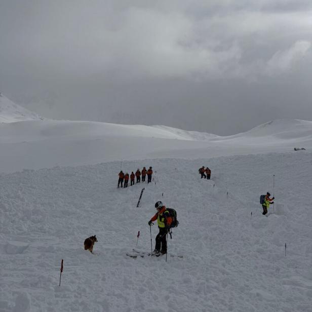 Mehrere Rettungskräfte und ein Hund suchen in verschneiter Berglandschaft nach Verschütteten.