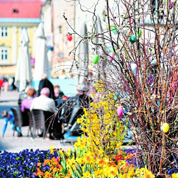 März 2026 - eine Bilanz: Mild und deutlich zu trocken