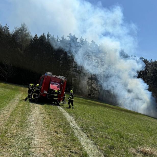 Waldbrand in Ollersdorf am Ostersonntag