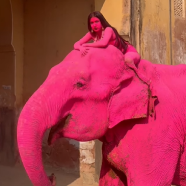 Eine Frau in Pink sitzt auf einem pink gefärbten Elefanten vor einem alten Gebäude.