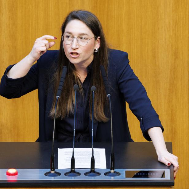 SONDERSITZUNG DES NATIONALRATS: HERR (SPÖ)