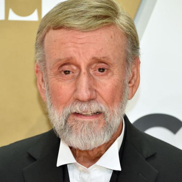 Ray Stevens mit grauem Bart und Anzug, dessen Einstecktuch orange ist, blickt in die Kamera.