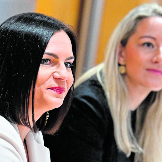 "NEUE EISENSTÄDTER" - KONSTITUIERENDE SITZUNG DES U-AUSSCHUSSES / EISENKOPF, KRUMBÖCK