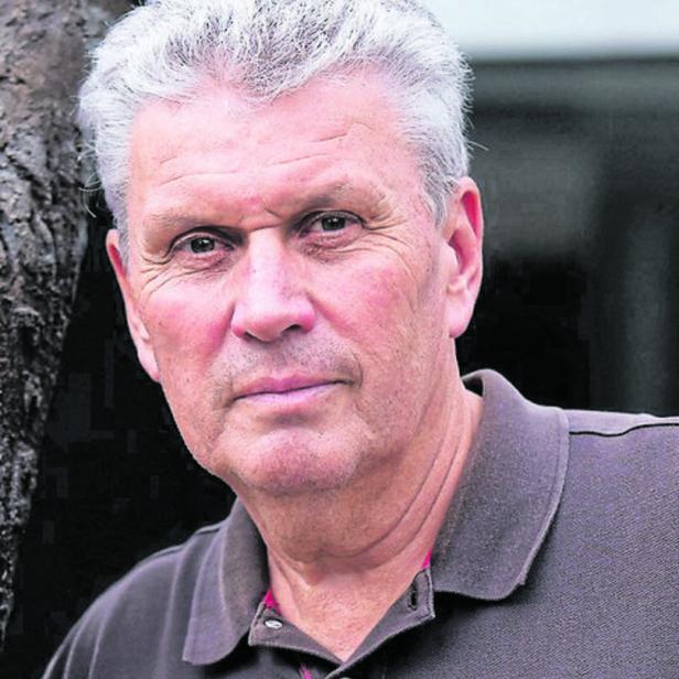 Herbert Brettl, Historiker