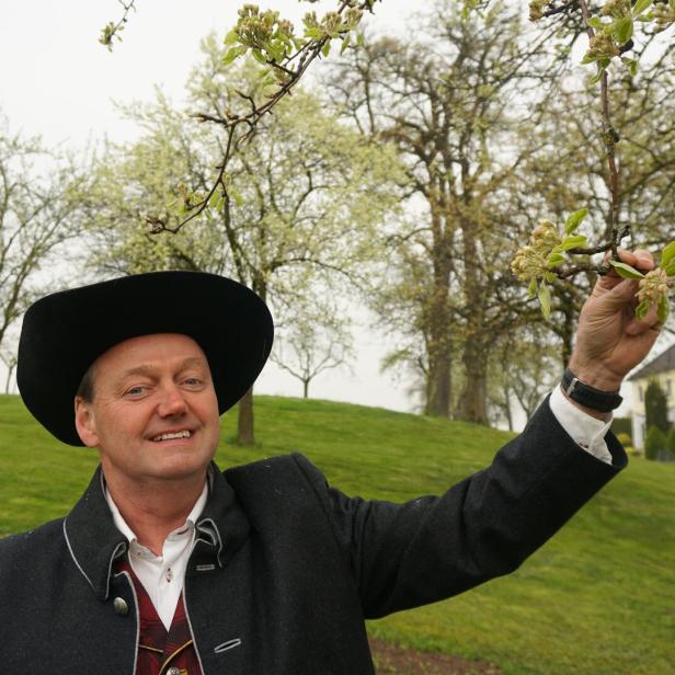 Michael Oberaigner Obmann des Obstbauverbandes 