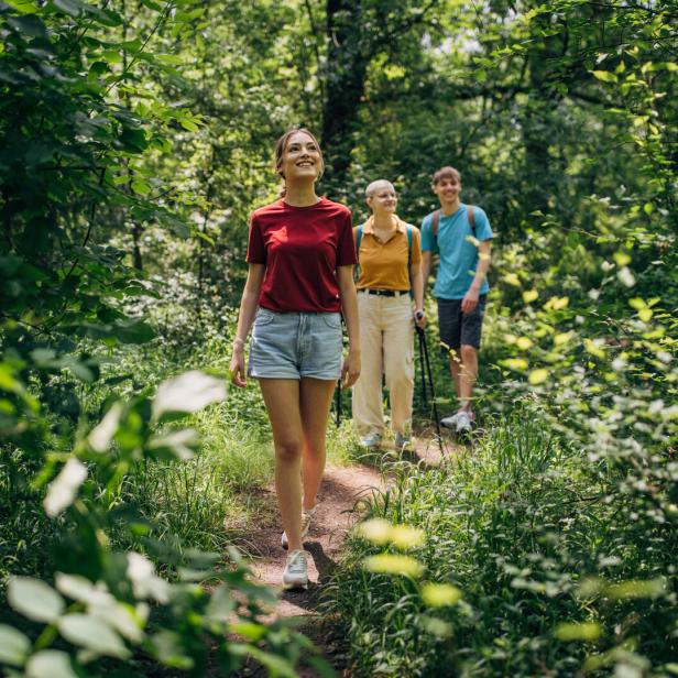 Three friends hiking in the forest and enjoying nature