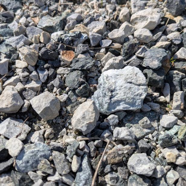 Viele kleine, unterschiedlich geformte Steine in verschiedenen Grautönen liegen dicht nebeneinander auf dem Boden.