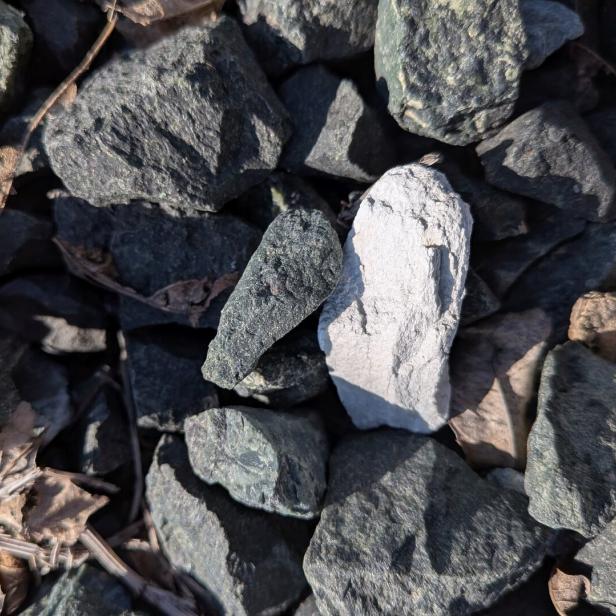 Mehrere dunkle Steine mit einem auffällig hellen Stein in der Mitte, umgeben von trockenen Blättern und Zweigen.