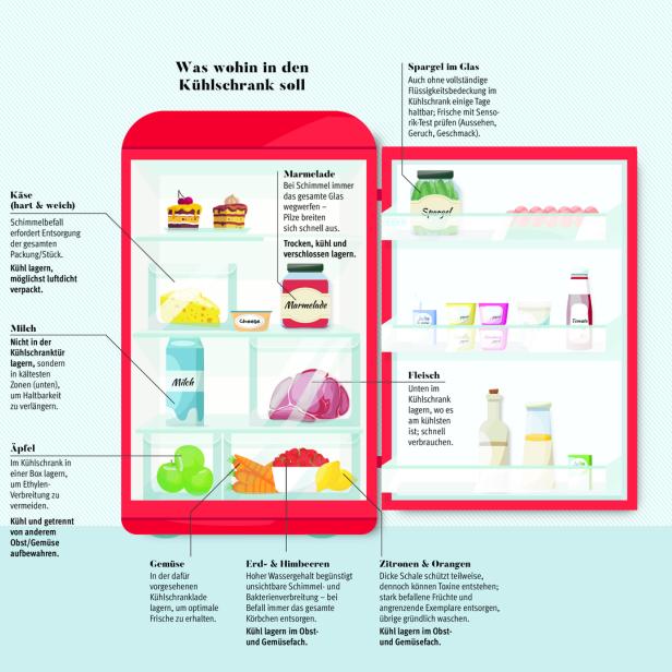 GRafik eines Kühlschranks mit Inhalt