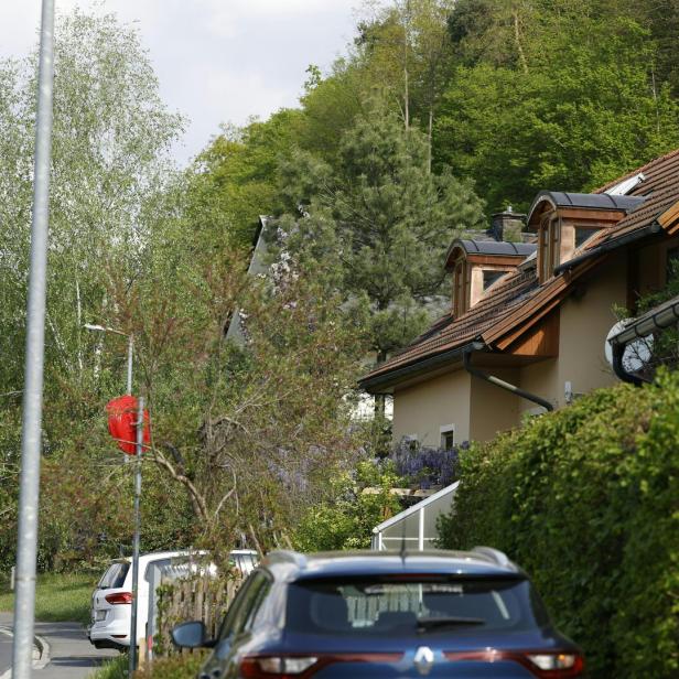 Ein Wohnhaus mit braunem Dach liegt an einer Straße mit parkenden Autos und viel Grün.