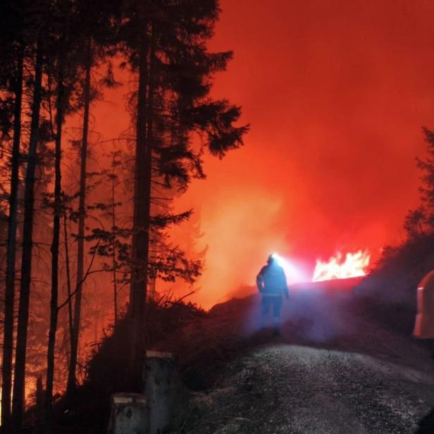 Feuerwehrleute bekämpfen einen großen Waldbrand in der Nacht, Flammen und dichter Rauch erleuchten den Himmel.