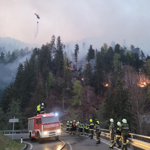 Waldbrände wie jener im kärntner Lesachtal sind fatal für Forstwirte: Sie vernichten ihre Wirtschaftsgrundlage.