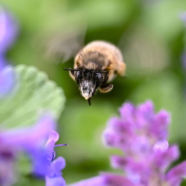 Wetter in Baden-Württemberg