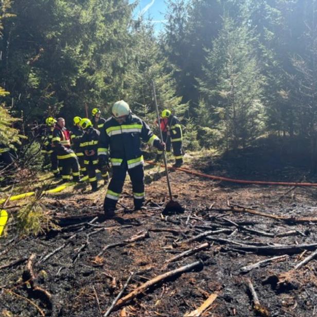 Mehrere Feuerwehrleute löschen einen Brand im Wald, der Boden ist teilweise verbrannt und verkohlt.