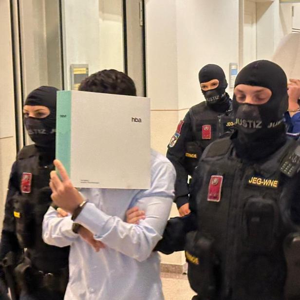 Angeklagte im Prozess in Wiener Neustadt