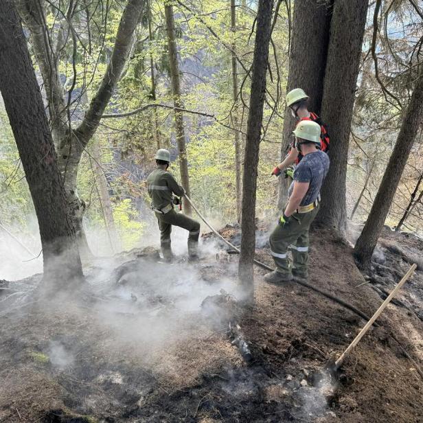 Drei Feuerwehrleute bekämpfen einen Schwelbrand im Wald zwischen Bäumen und aufsteigendem Rauch.