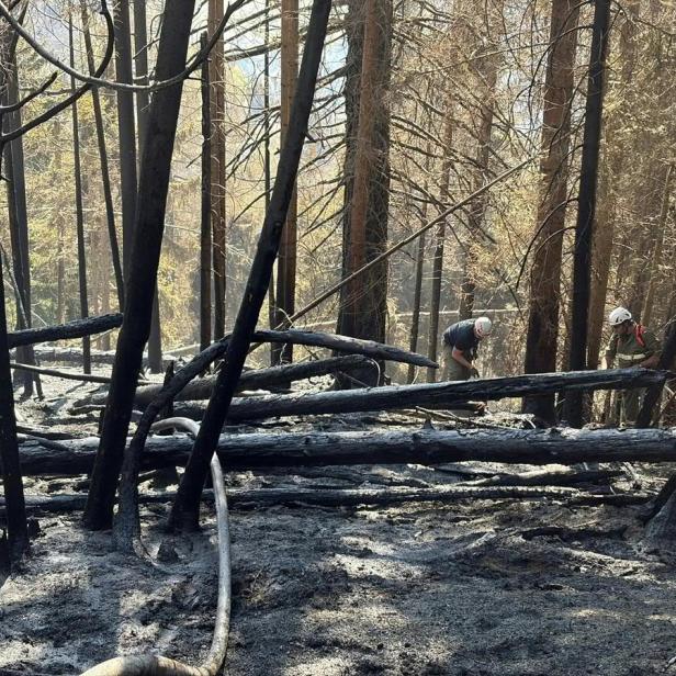 Forstarbeiter schuld? Zigarette dürfte Waldbrand im Lesachtal ausgelöst haben