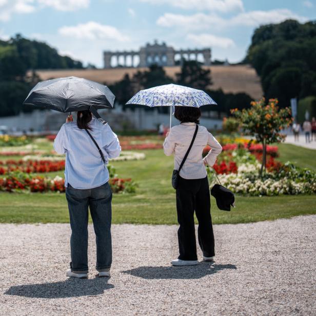 Touristen blicken auf Gloriette.