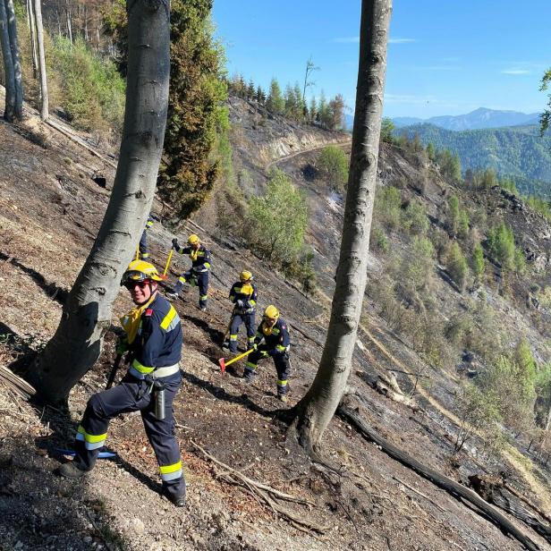 ++ HANDOUT ++ STEIERMARK: WALDBRAND NÖRDLICH VON GRAZ WEITETE SICH AUF RUND 70 HEKTAR AUS