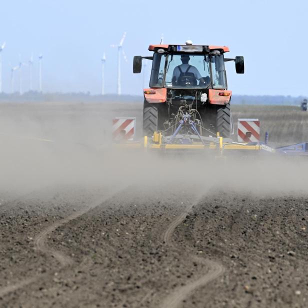 Alarmierende Zahlen: Dieser Frühling ist so trocken wie noch nie