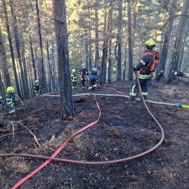 Waldbrand bei Gutenstein.