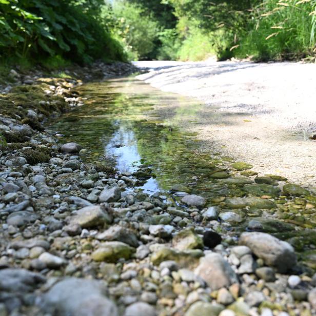Ein Bachlauf fließt über Steine und Kies, der Weg führt durch grüne Vegetation.