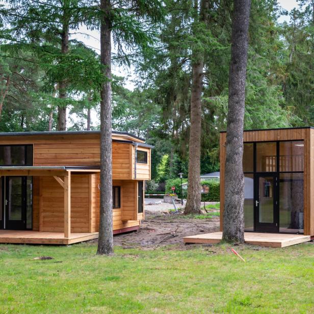 Tiny Houses auf einem bewaldeten Grundstück