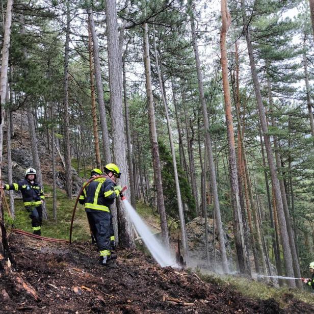 Feuerwehrleute löschen einen Waldbrand