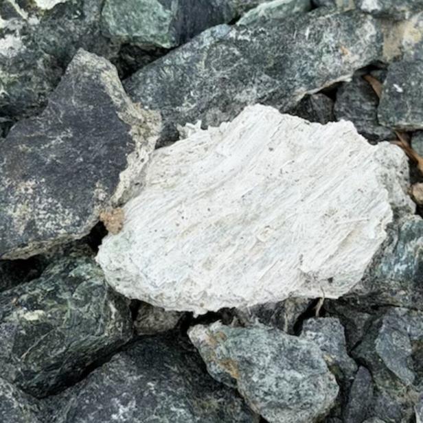 Mehrere dunkle Steine mit einem auffälligen, faserigen, weißen Stein in der Mitte.