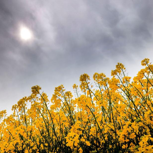 Wetter in Nordrhein-Westfalen