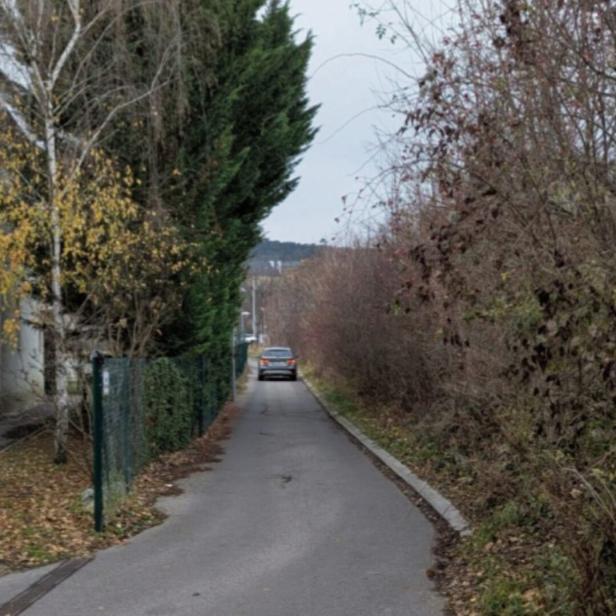 Ein schmaler Weg zwischen Sträuchern 