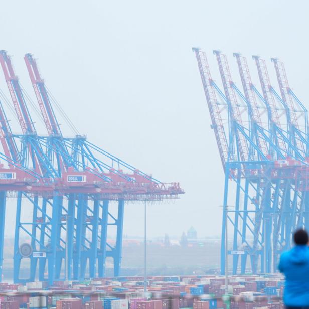 Kräne im Hamburger Hafen