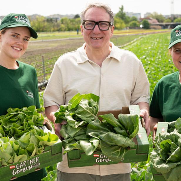 Drei Personen auf einem Feld halten Kisten mit frischem grünem Blattgemüse und tragen grüne T-Shirts und Mützen mit dem Schriftzug 'Gärtner Gemüse'