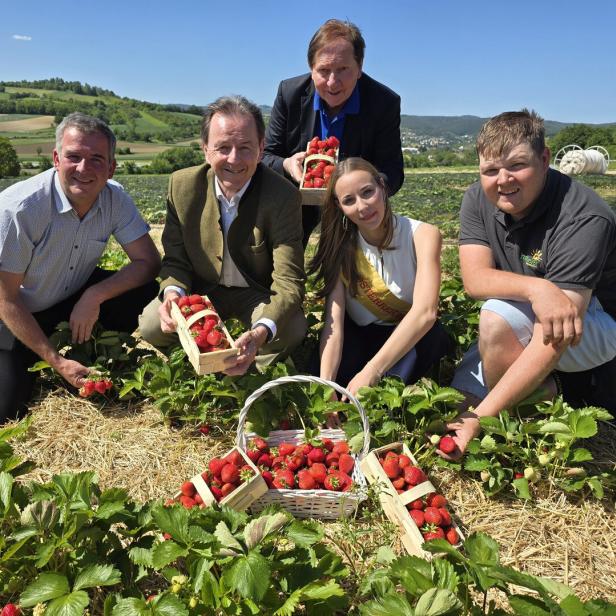 Fünf Personen knien auf einem Erdbeerfeld und halten Körbe mit frisch gepflückten Erdbeeren in die Kamera.
