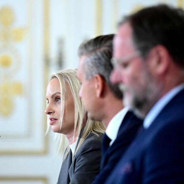 MINISTERRAT: SCHMID (SPÖ) / HATTMANNSDORFER (ÖVP) / SCHELLHORN (NEOS)