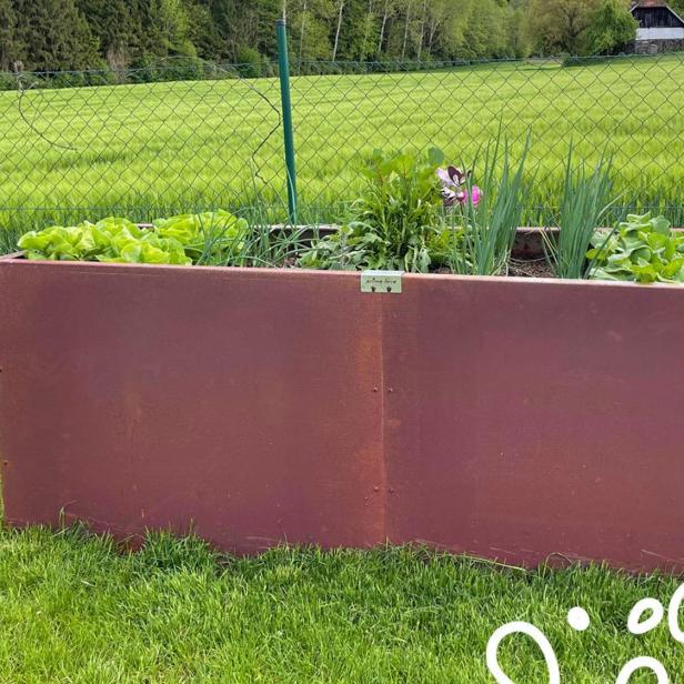 Ein rechteckiges Hochbeet mit verschiedenen Gemüsepflanzen steht auf einer grünen Wiese vor einem Drahtzaun.