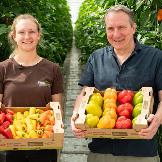 Zwei Personen stehen in einem Gewächshaus und halten Kisten mit verschiedenen Paprikasorten.
