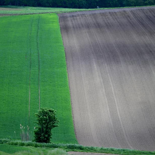 ++ THEMENBILD ++ "UMWELT / KLIMA / BODEN / FLÄCHE / ACKER / WETTER"