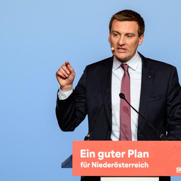 LANDESPARTEITAG SPÖ NIEDERÖSTERREICH: HERGOVICH (SPÖ)