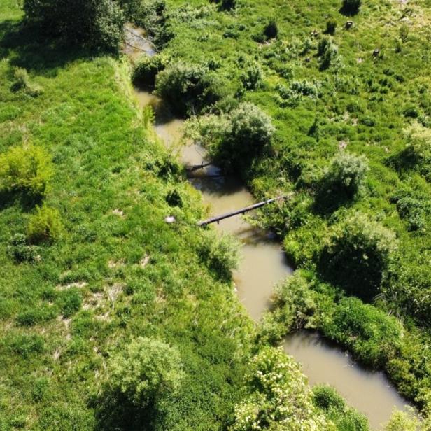 Strembach