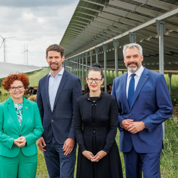 Vier Personen stehen vor Solarmodulen und einer Schafherde, im Hintergrund Windräder.