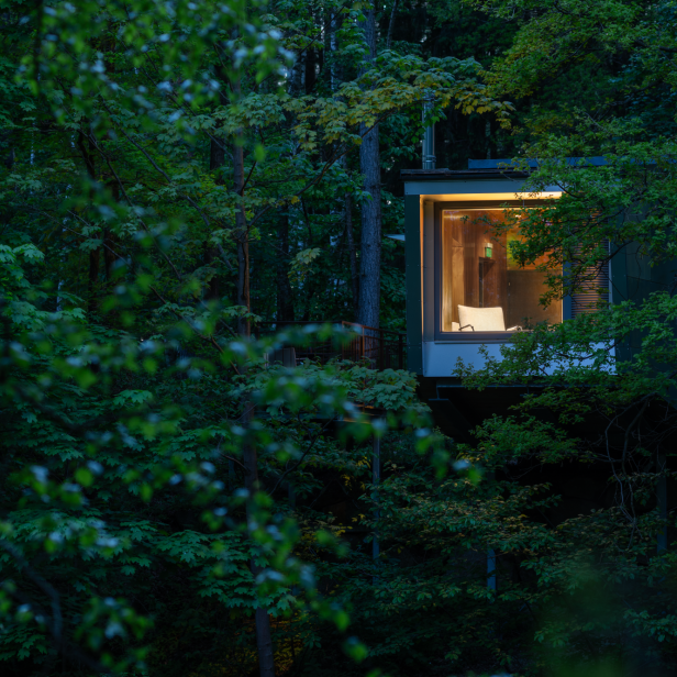 Ein modernes, beleuchtetes Haus mit großem Fenster steht umgeben von dichtem grünen Wald.