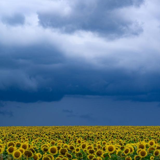 Wetter in Brandenburg